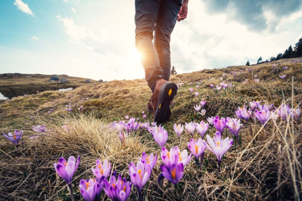 CBD and Outdoor Wellness: Enhancing Your Spring Activities